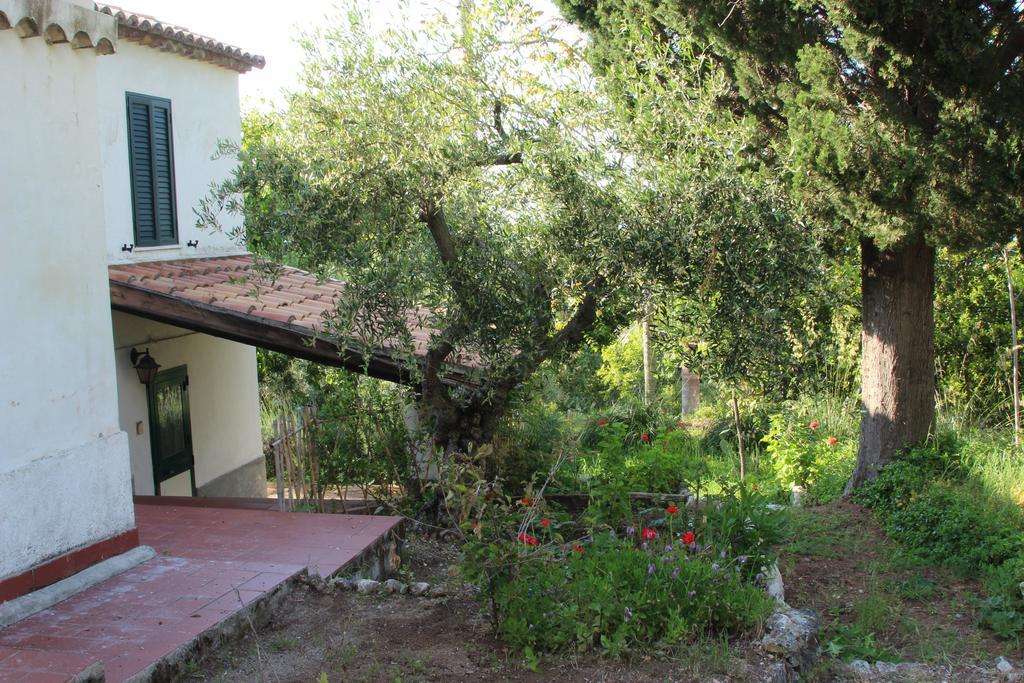 Tenuta Conte Ruggero Santa Domenica  Pokoj fotografie